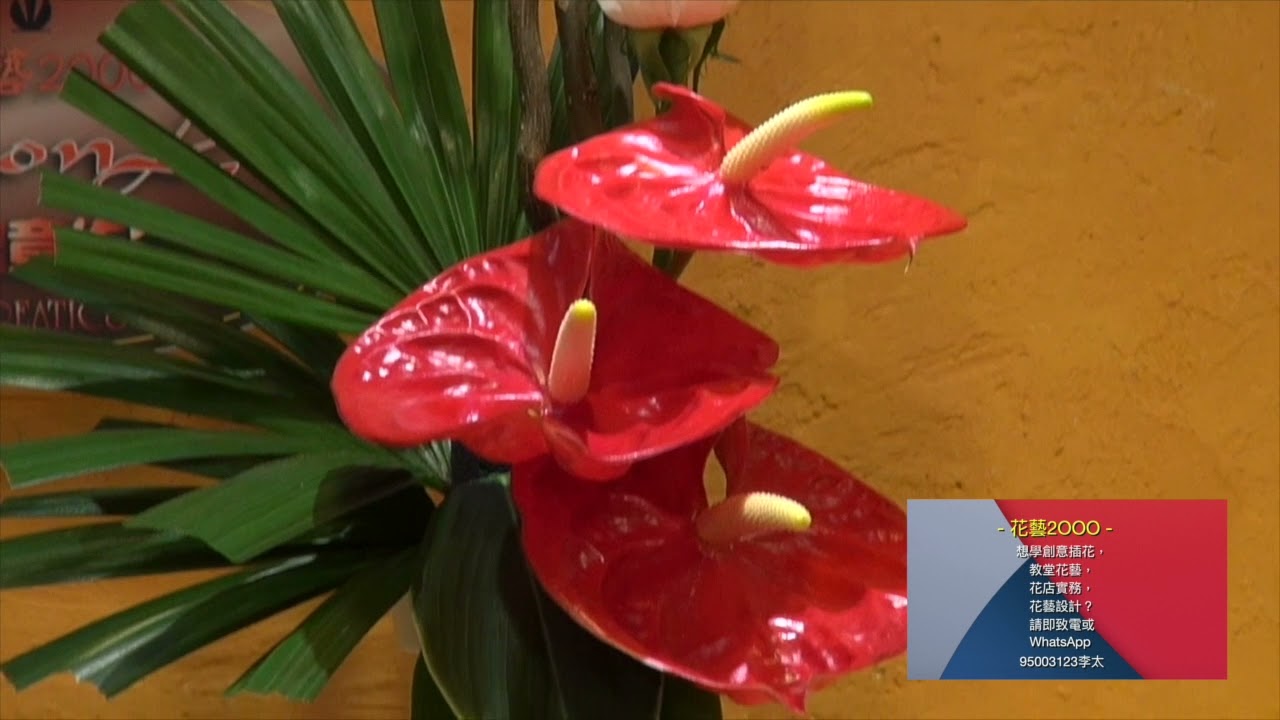 Flower Arrangement by Gordon Lee RR-03