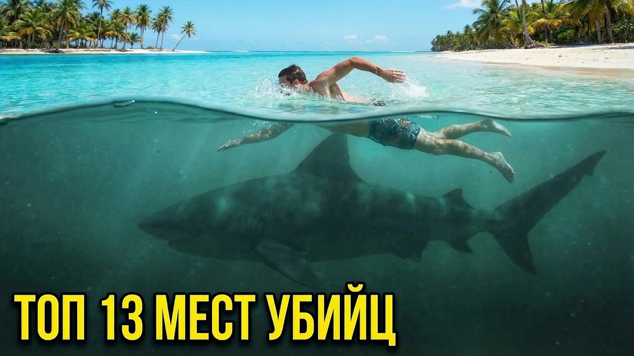 13 курортов с билетом в ОДИН КОНЕЦ