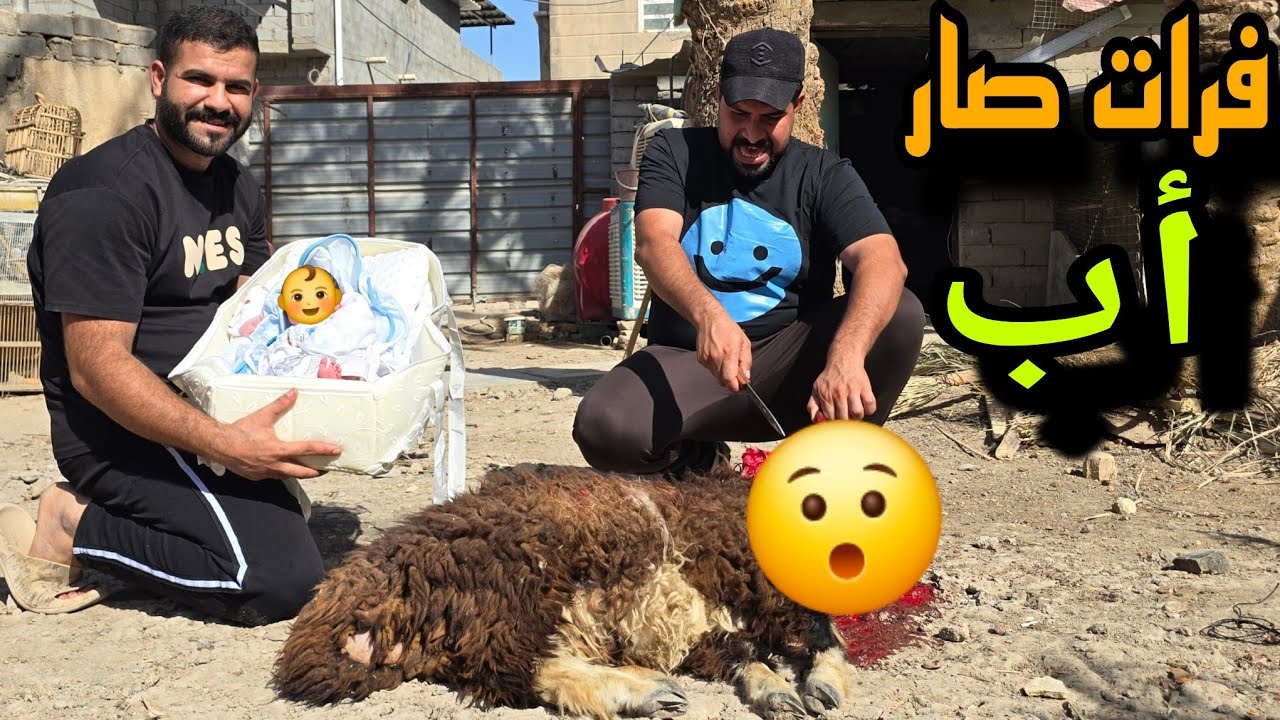 أكبر هدية 🎁 #فرات_الصياد بمناسبت المولود الجديد😍