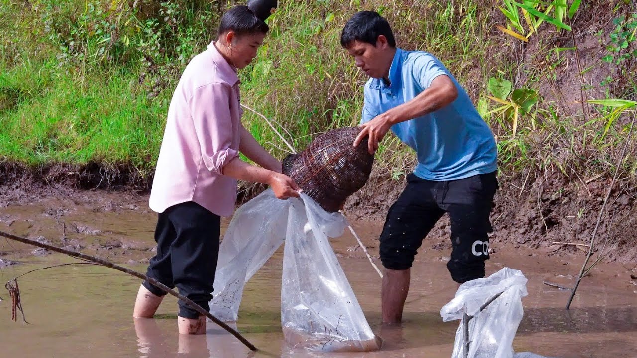 Newly Completed Pond, Harvesting Fish Seeds for Farming | Family Farm