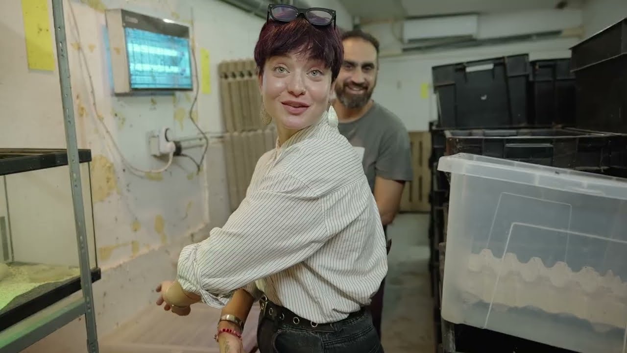 Sarah tiekol ġurat ġewwa INSECTOPIA