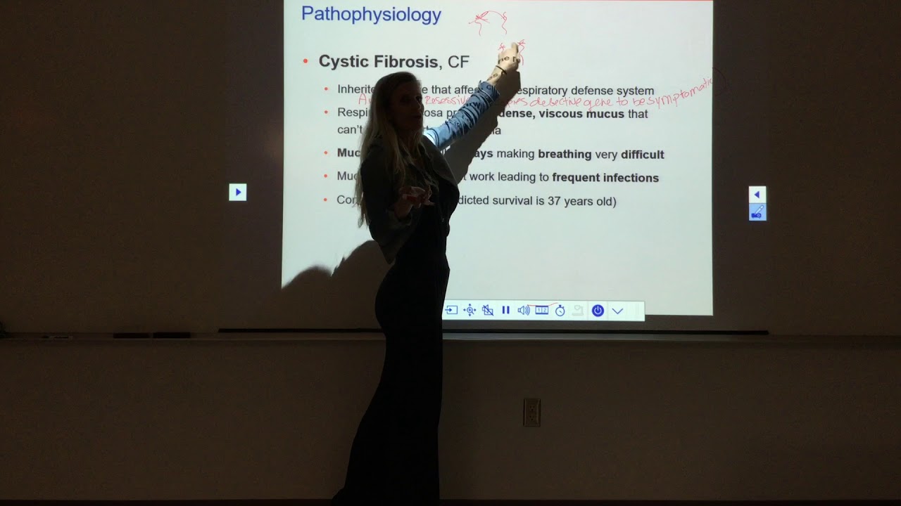 The Respiratory System Part 1.2
