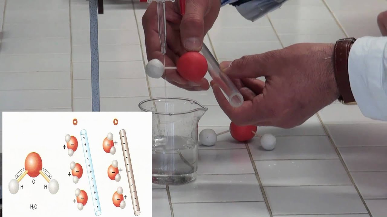 POLARITÀ dell'ACQUA.mp4
