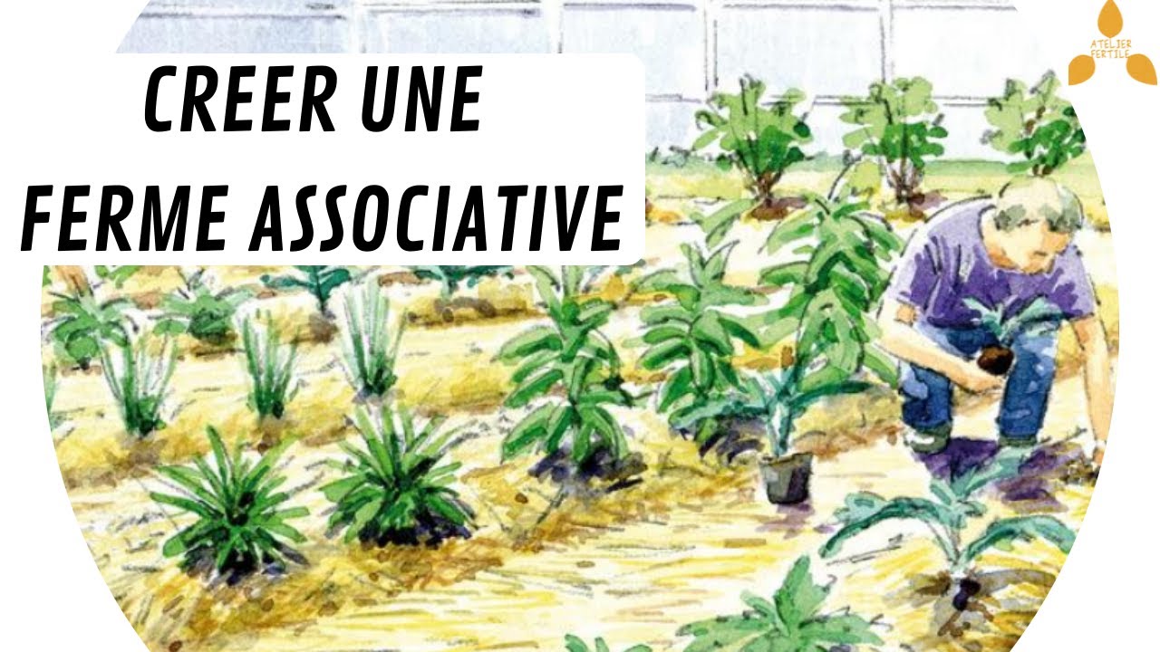 🐄Gérer sa ferme avec une association loi 1901 : les infos à connaître🚜