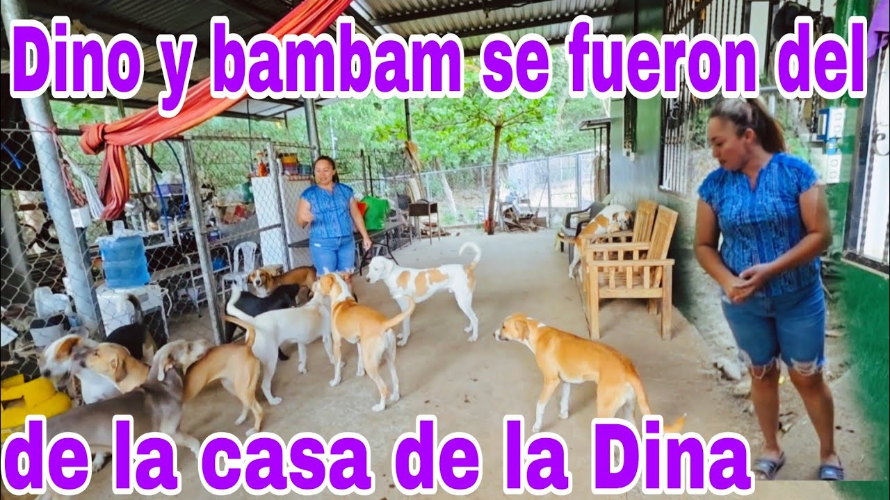 Muy mal se encuentra Dina por Dino y bambam se fueron de la casa😱😳