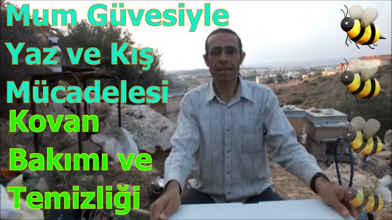 Arıcılıkta Mum Güvesi ve Mücadele Yöntemleri