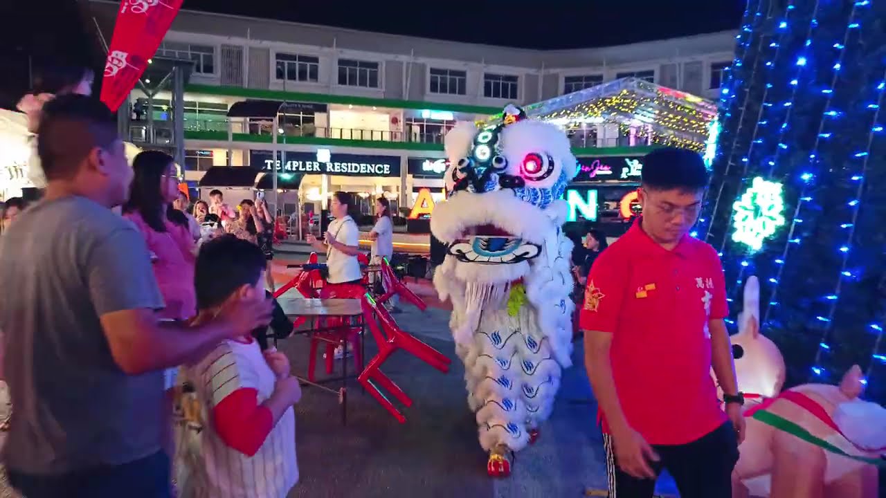 An acrobatic lion dance that blends athletic precision, dynamic leaps, and breathtaking balance