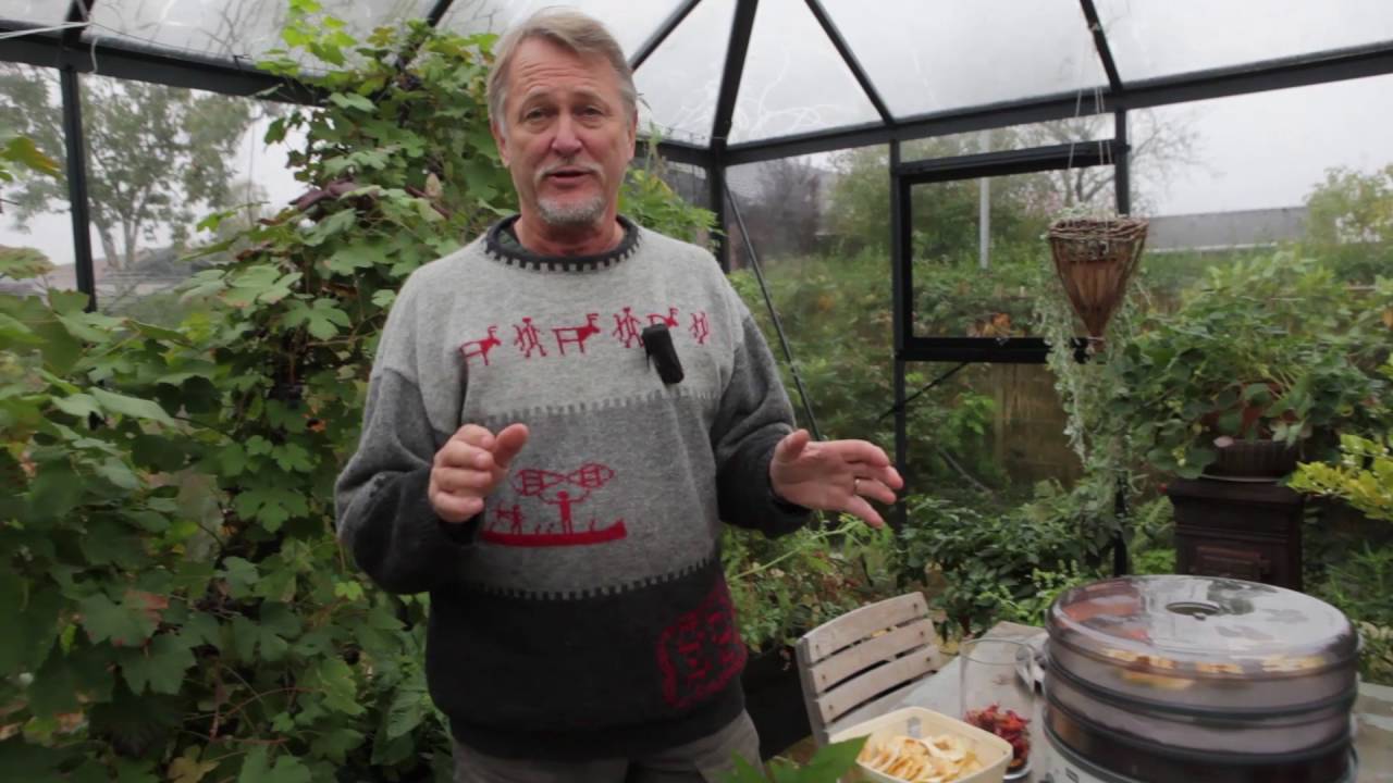 Egne oliven og tørrede chili