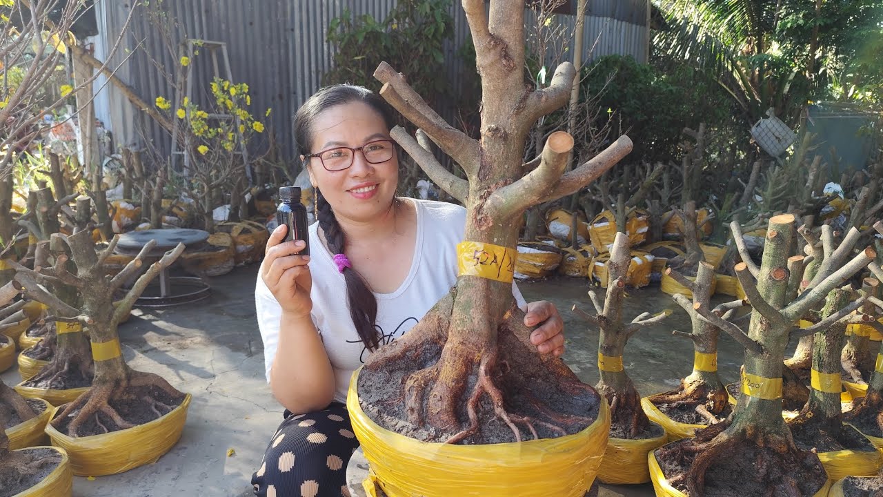 17/2.Dung.0383519488.Gl 20 phôi mai vàng giảo hạt thủ đức giá yêu thương em Dung kính mời 