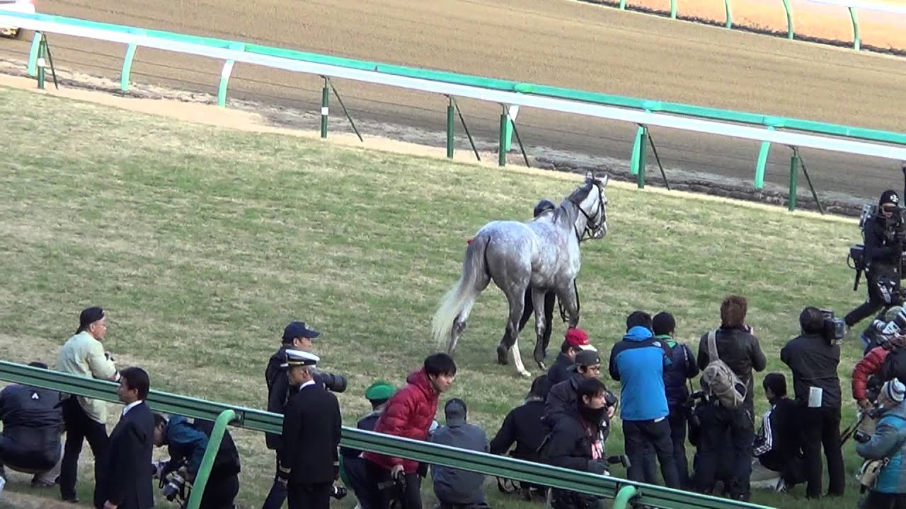 2012年有馬記念 ゴールドシップ GOLD SHIP ウイニング・ラン