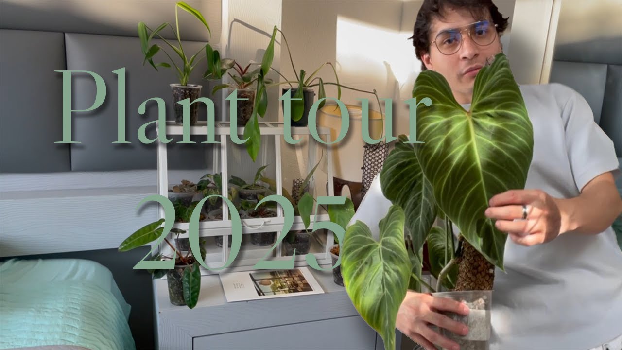 PLANT TOUR 2025 | MI COLECCIÓN DE PLANTAS EXOTICAS PARA INICIAR 2026