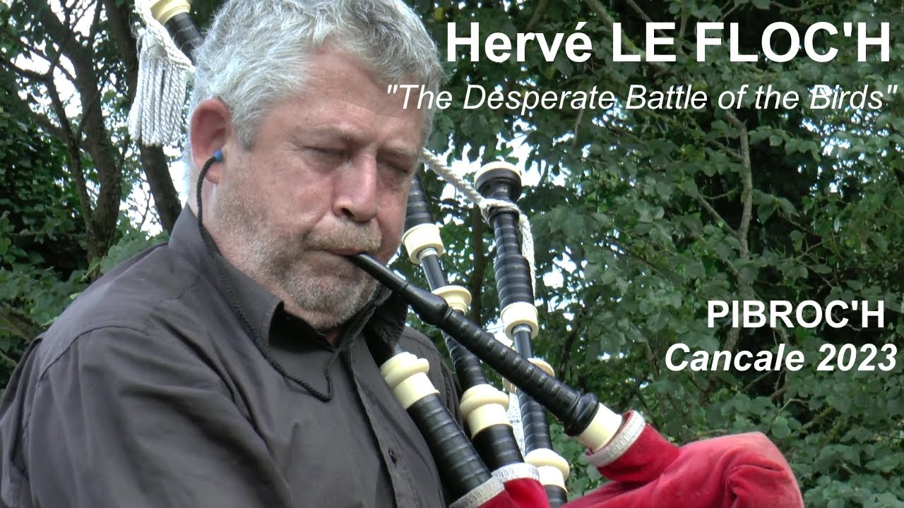 2023 Hervé LE FLOC'H  Desperate Battle of the Birds    PIBROC'H CANCALE  10 sept Video YP