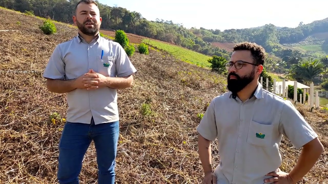 Como fazer análise de solo para pitaya e sua importância
