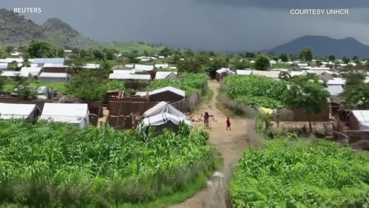 Des réfugiés arrêtent le désert dans le nord du Cameroun