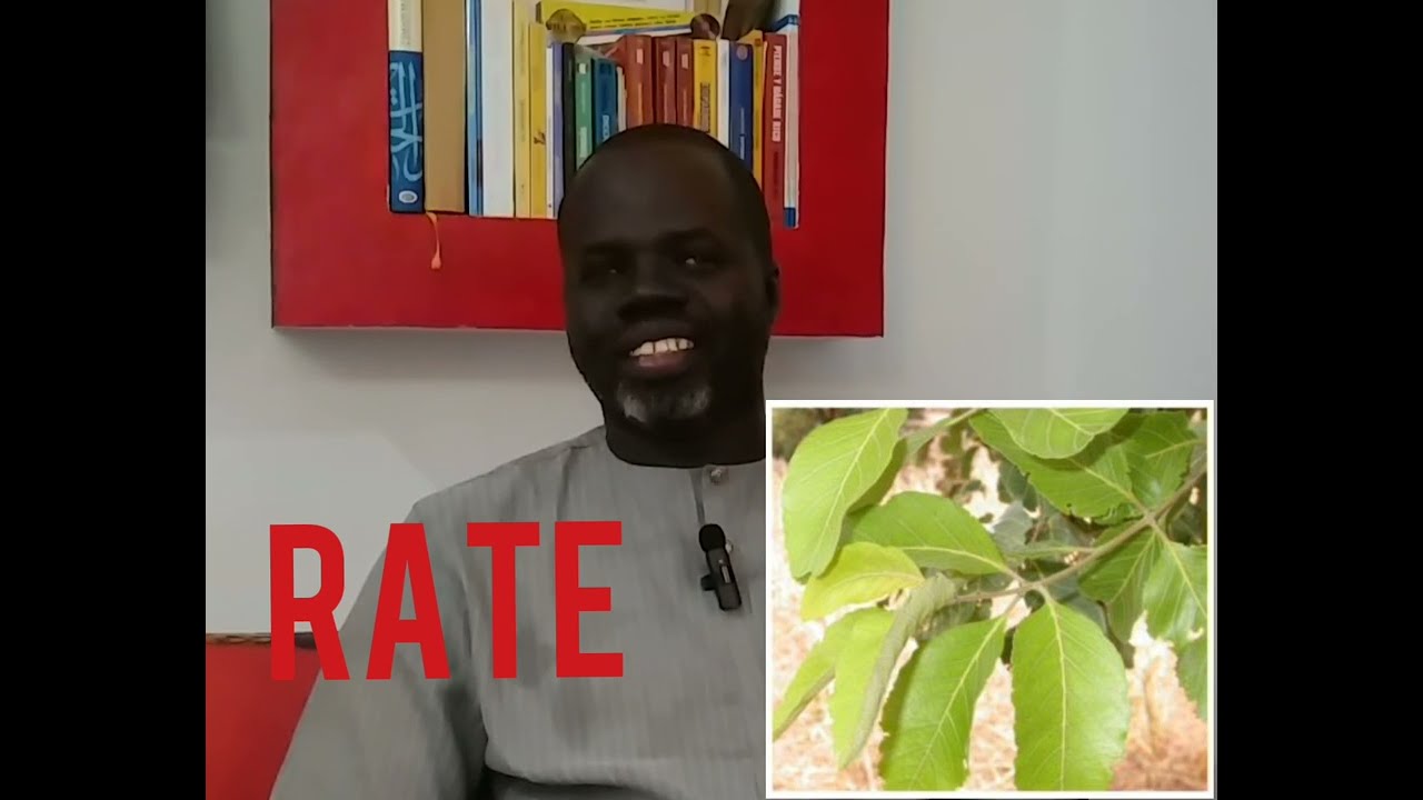 vertus de combretum glutinosum (rate) par pr Ousmane ndiaye