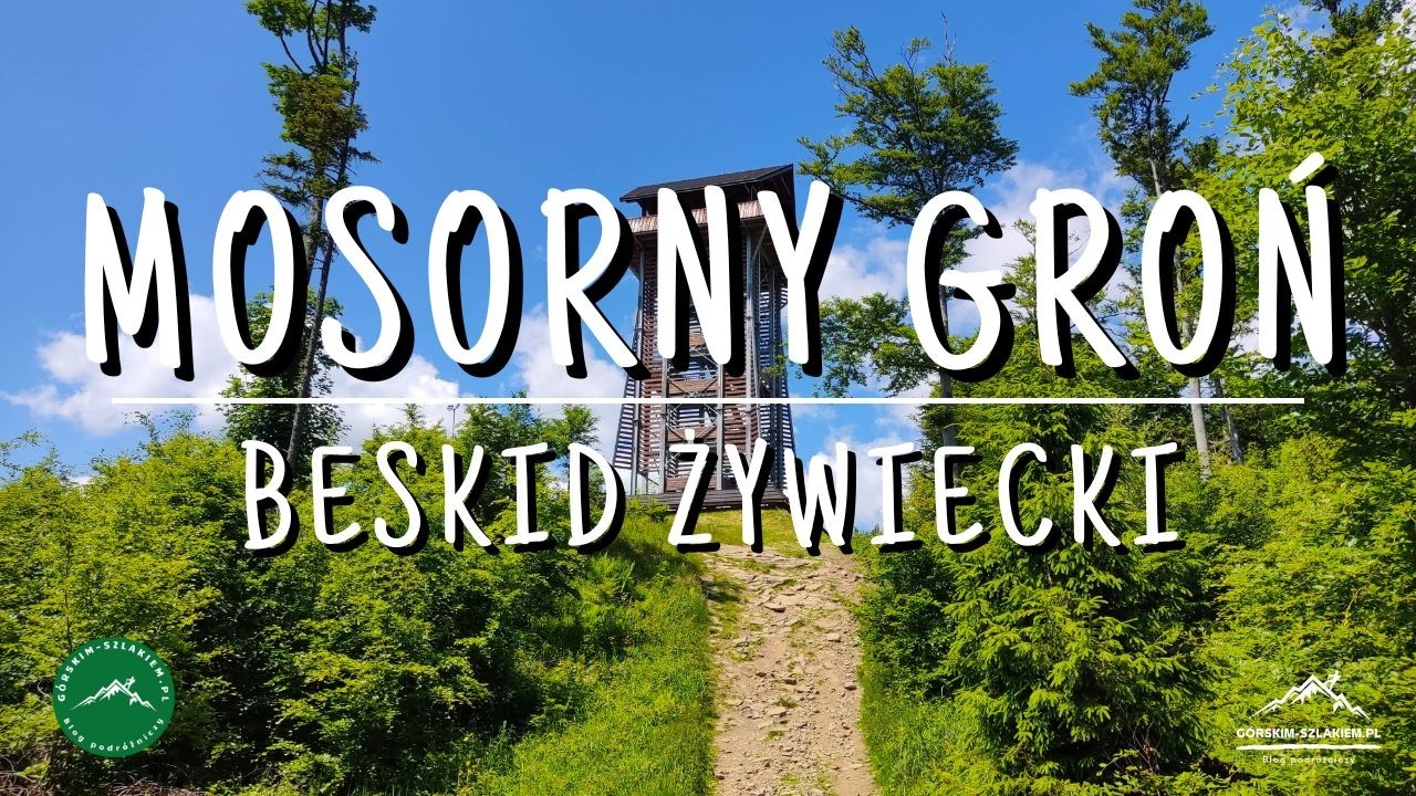 MOSORNY GROŃ - Wycieczka na Mosorny Groń z Zawoi - PKL Mosorny Groń | BESKID ŻYWIECKI