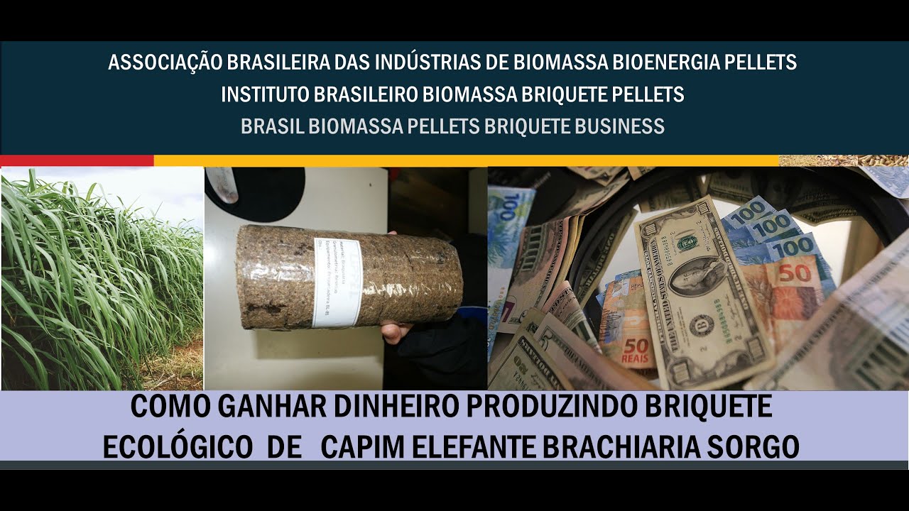 BRIQUETE CAPIM EELEFATE COMO GANHAR DINHEIRO PRODUZINDO BRIQUETE  CAPIM ELEFANTE BRACHIARIA SORGO