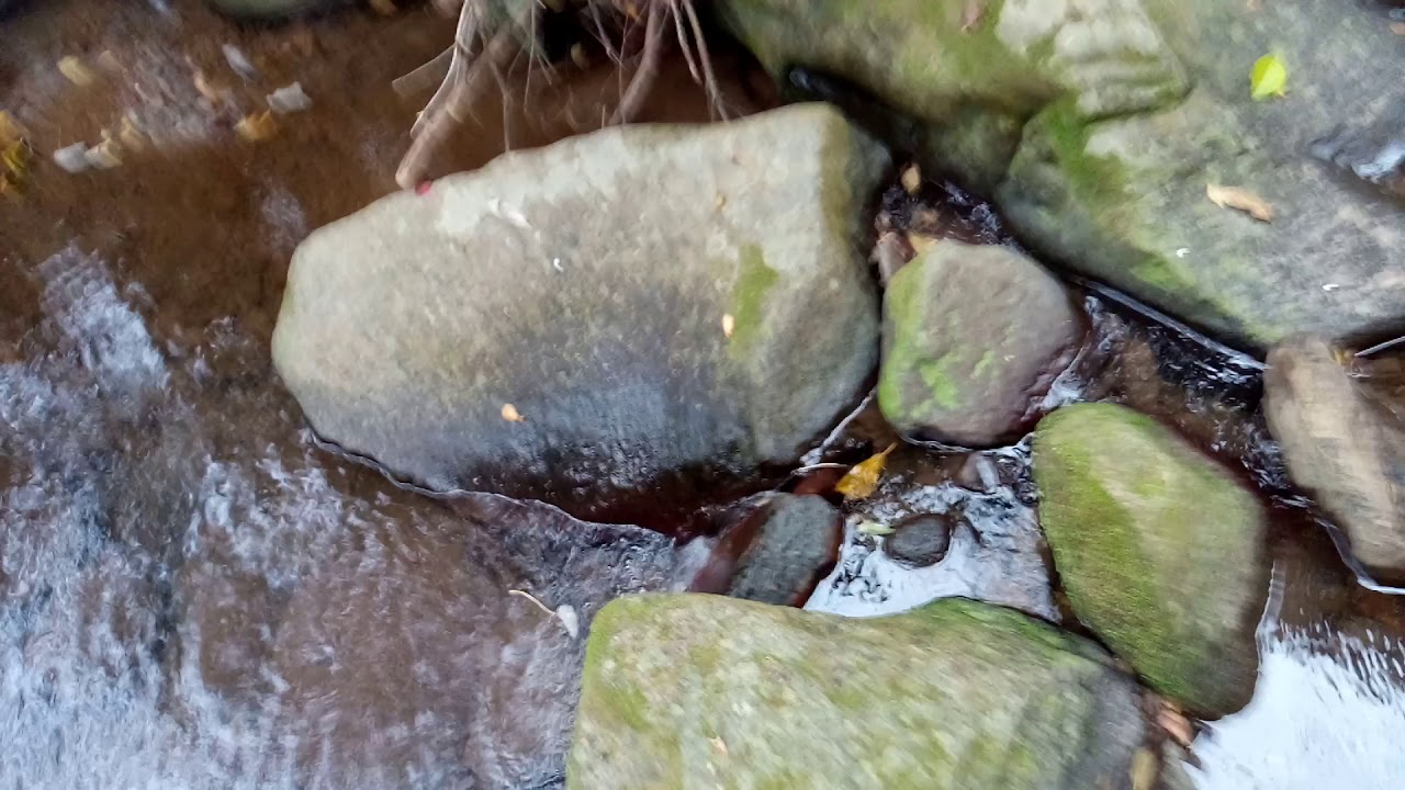 砂金探し05 菱刈鉱山上流域  鹿児島県伊佐市菱刈前目