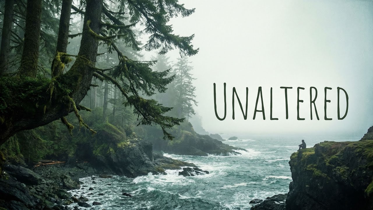 Unaltered – Forest Soundscape with Soft Ambient Music (No Beat) | AuralDepths