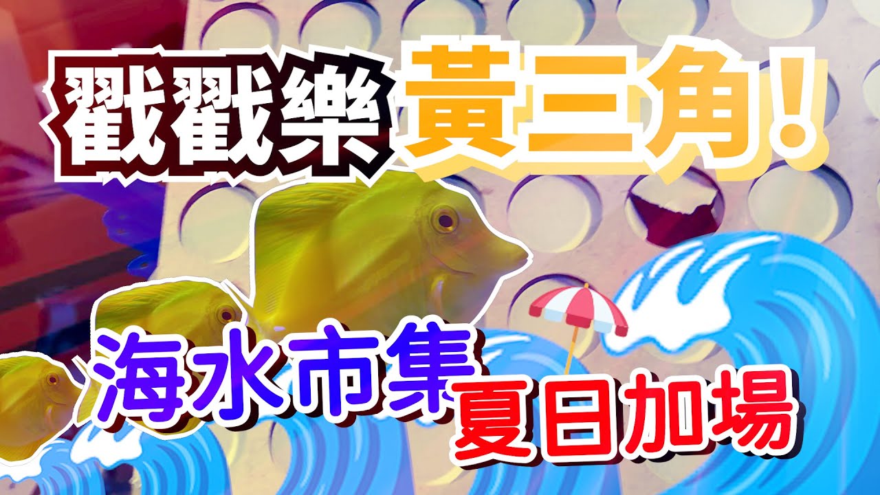 【藍箱水族】黃三角戳戳樂超狂！珊瑚一番賞盲包賣爆！海水市集夏日加場～藍箱帶你逛！
