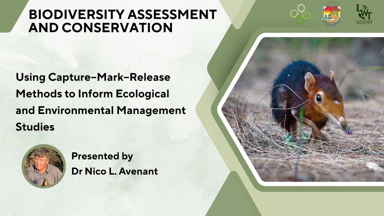 Using Capture–Mark–Release Methods to Inform Ecological and Environmental Management Studies