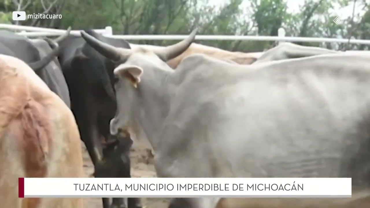 Tuzantla, un rinc&oacute;n imperdible de Michoac&aacute;n.