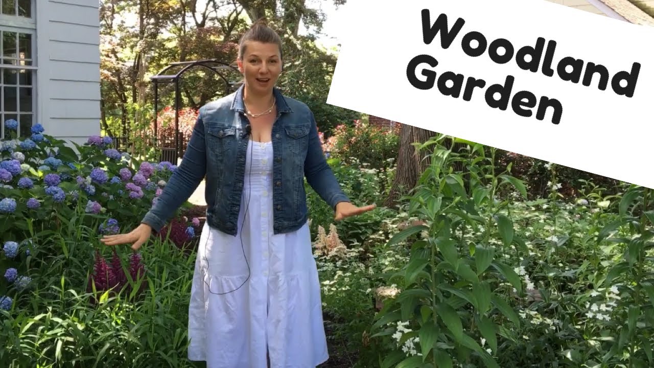 🌳 Garden Tour ~ Woodland Garden ~ Y Garden 🌳