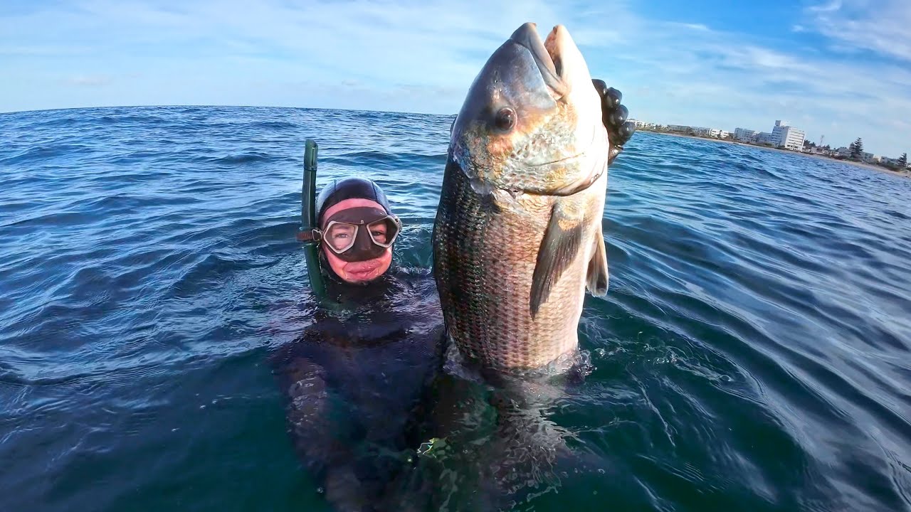 Diving alone for South Africa's Most Elusive Fish