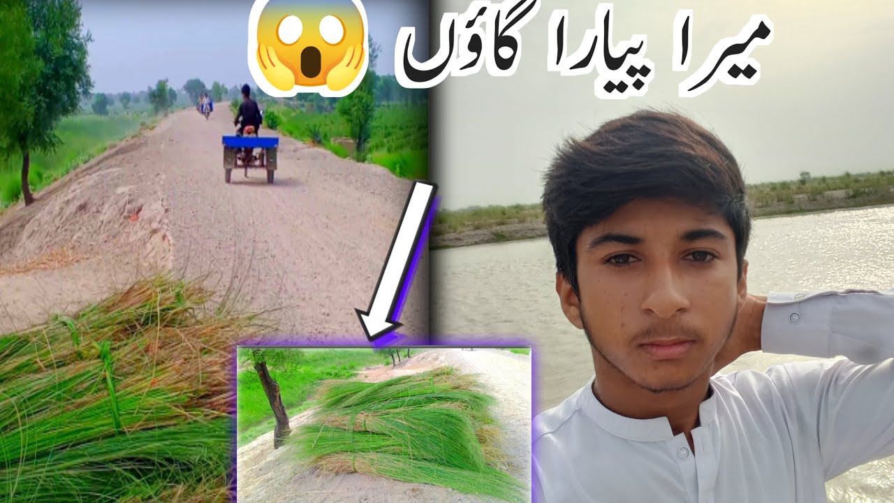 Mera pyaara gaon . گاؤں کی خوبصورت زندگی 😱🤔#sajidjkr