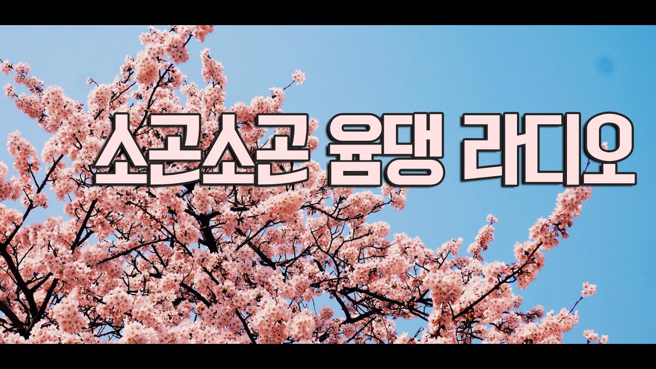윰댕&hearts; 편안하게 듣기 좋은 라디오 풀버전!! (무자막)