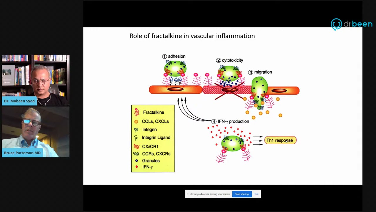 Spike Proteins In Immune Cells - Dr. Bruce Patterson Discusses COVID Long Haul