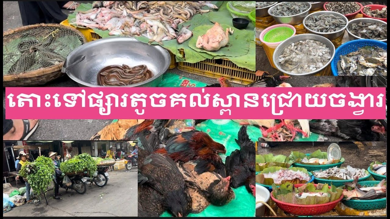 ផ្សារតូចគល់ស្ពានជ្រោយចង្វារ-Wet Market in Phnom Penh City