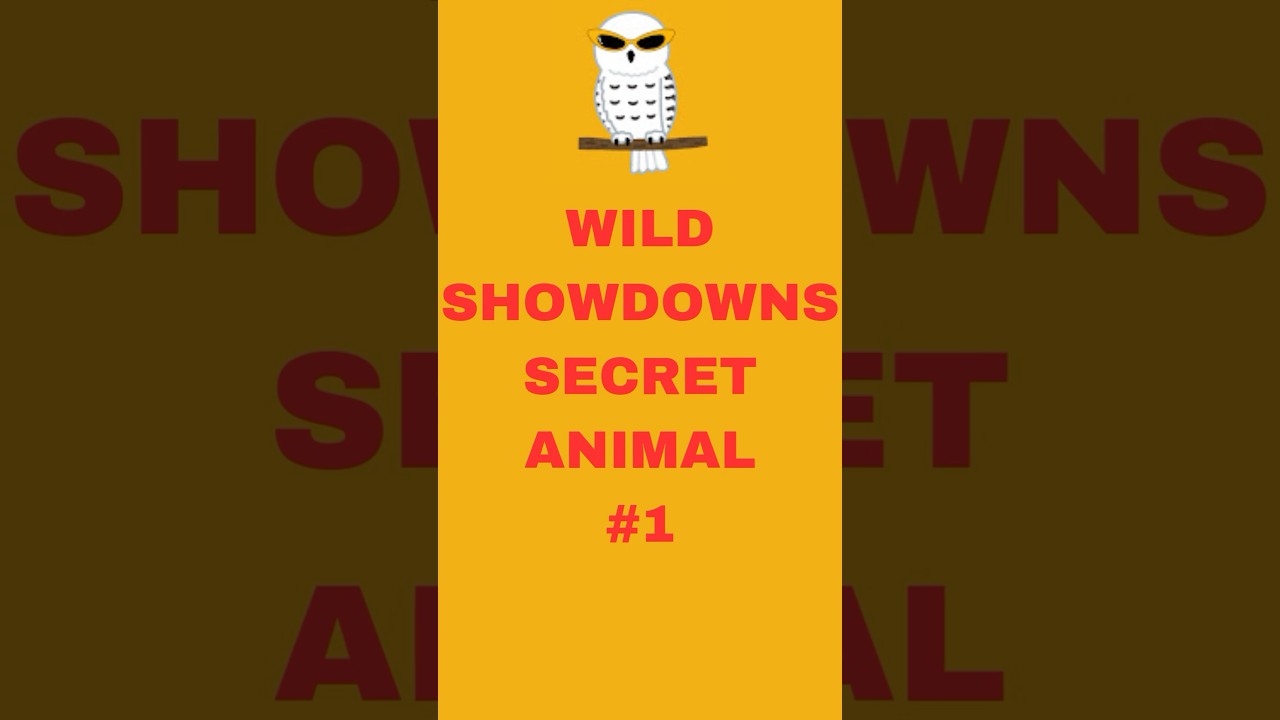 Secret Animals #1 #SecretAnimal, #WildlifeMystery,