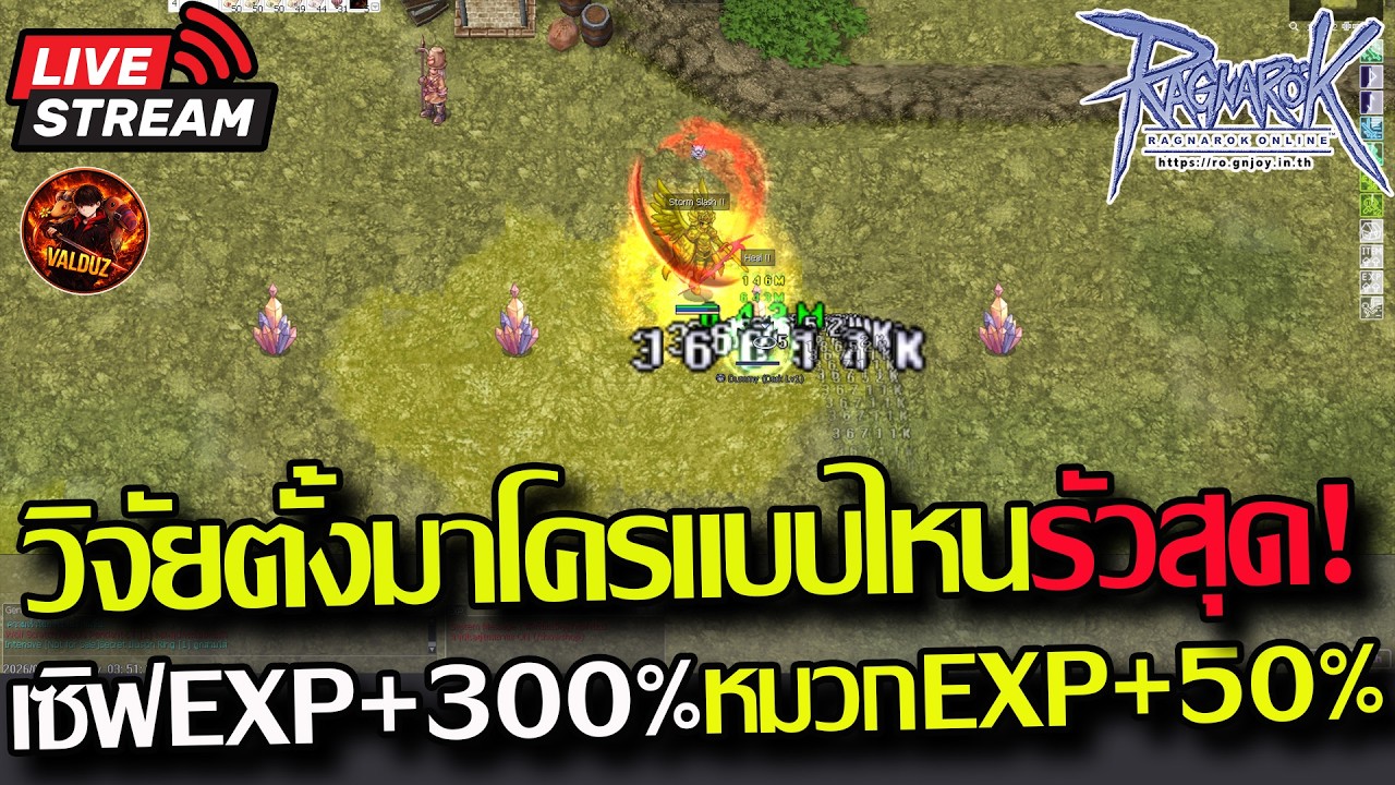 [RO]EP.992:🔥วิจัยตั้งมาโครแบบไหน 7ครั้ง/วิ!! เซิฟx300%+หมวกCrossEvent50%🔥