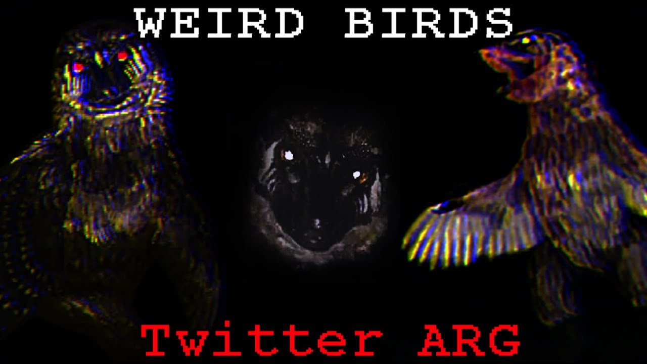 Weird Birds - You're Not Safe Inside Or Outside - Analysis, Lets Explore