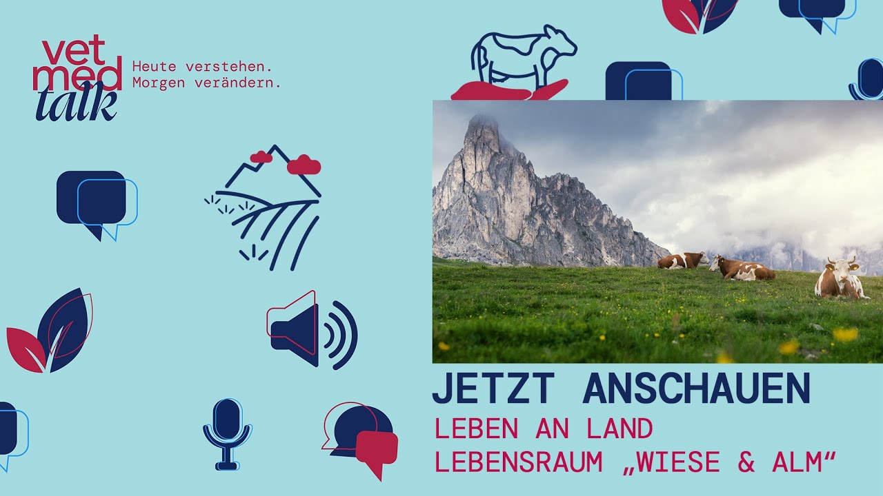 VetmedTalk: Lebensraum Wiese und Alm – Braucht es Bewirtschaftung für mehr Biodiversität? 🐮 🦋🌾