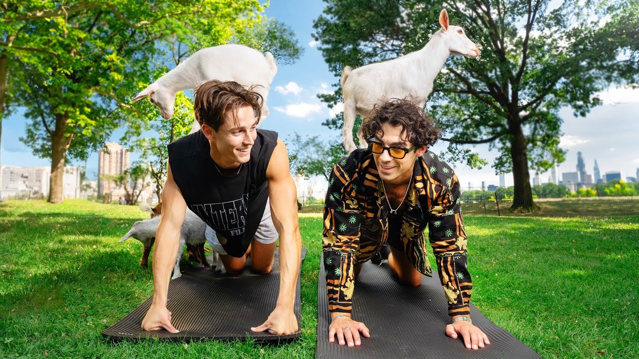 I Did Goat Yoga with Joe Jonas