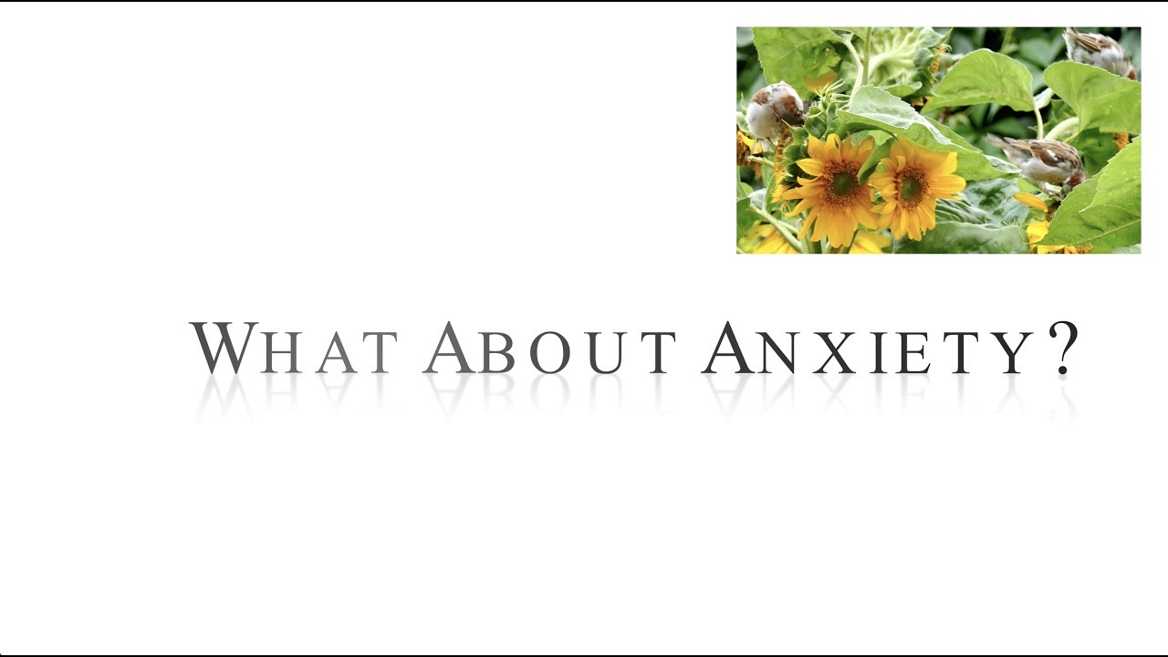 What About Anxiety? - Pastor Joe Focht
