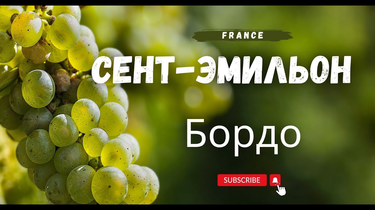 Сент-Эмильон: виноградники, вино и история в сердце региона Бордо