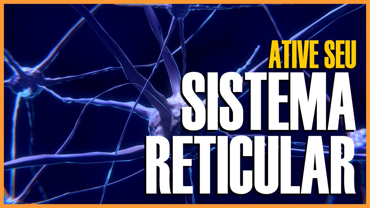 Ative seu Sistema Reticular