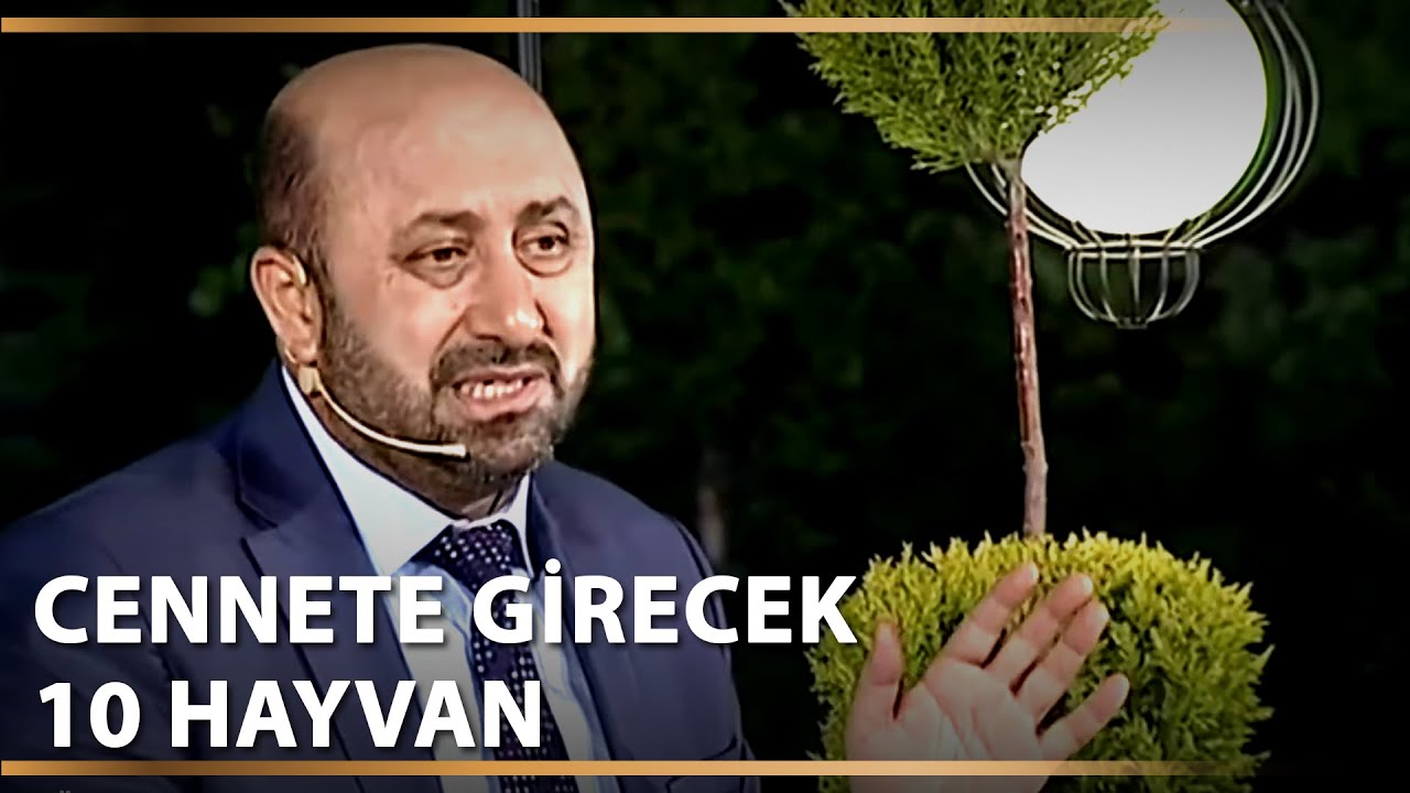 Ömer Döngeloğlu Hoca Cenneti Anlatıyor | İman Edenler