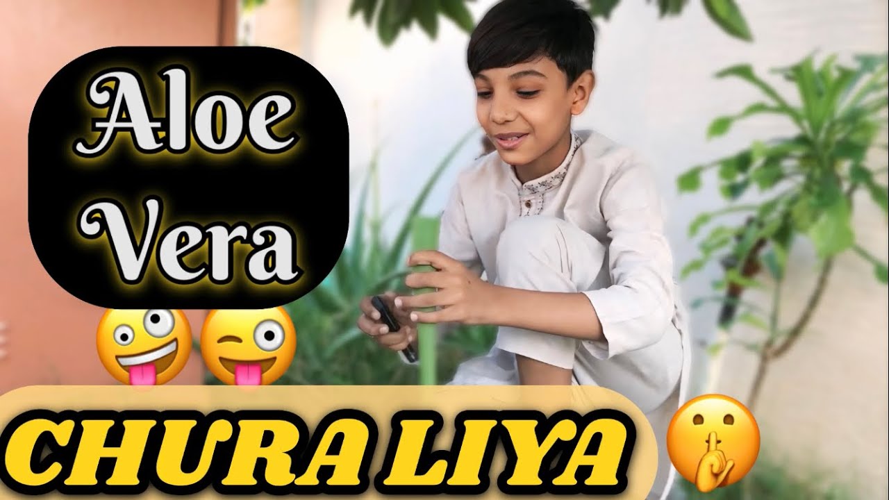  Wahab Ne Parosiyon Ka Aloe vera Chura Liya 😜😂
