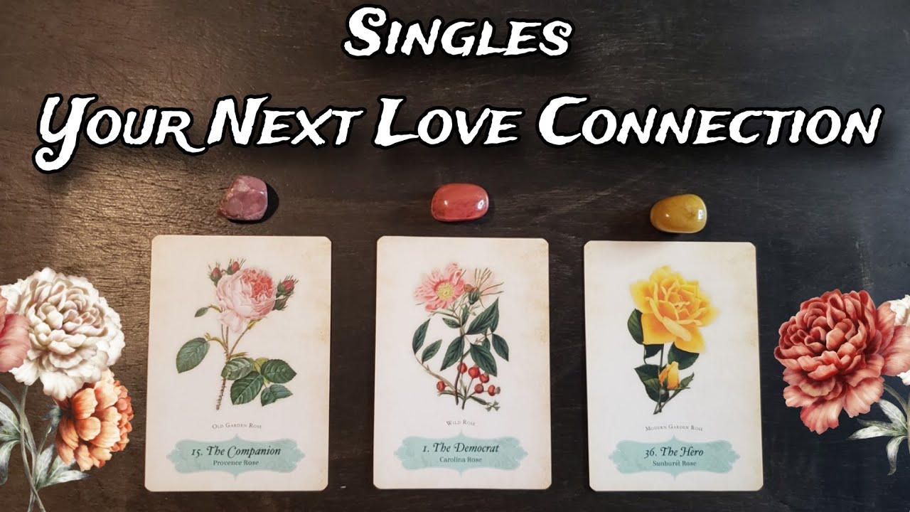 Your Next Love Connection! 🖤🌾 Pick A Card Love Reading | 🌾🖤 SINGLES Love Reading!