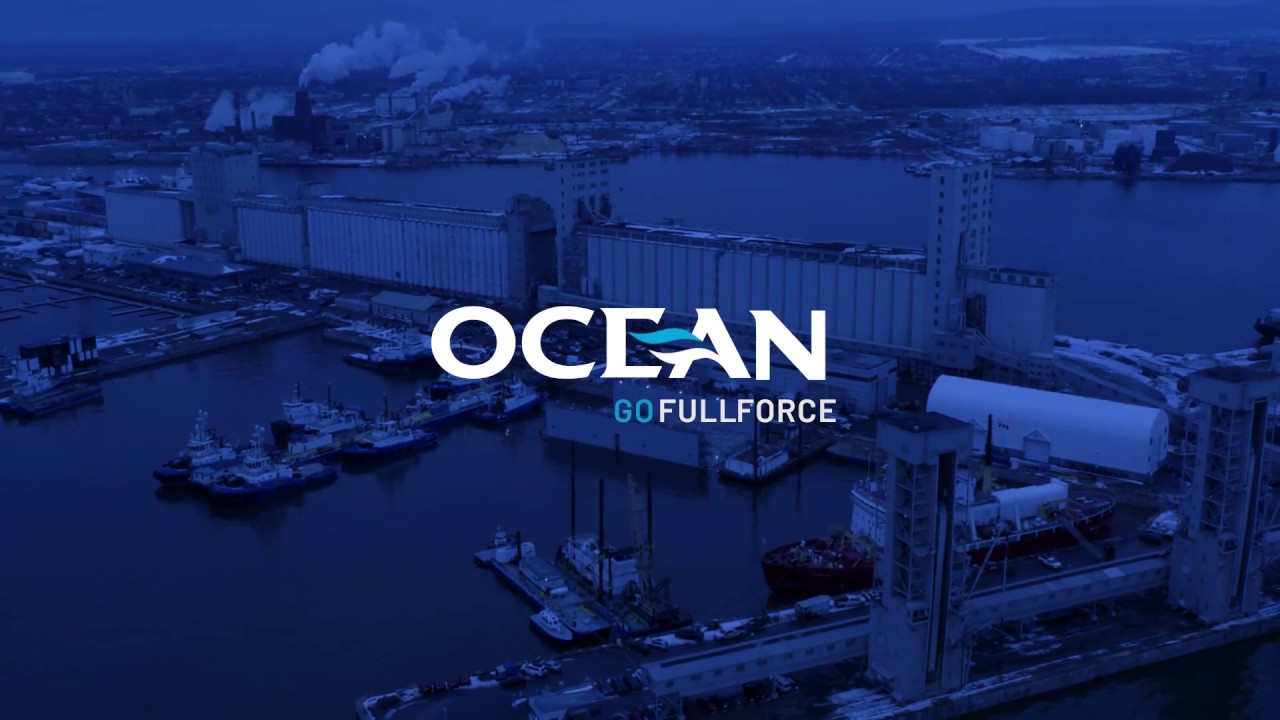 OCEAN GROUP - FLOATING DRY DOCK