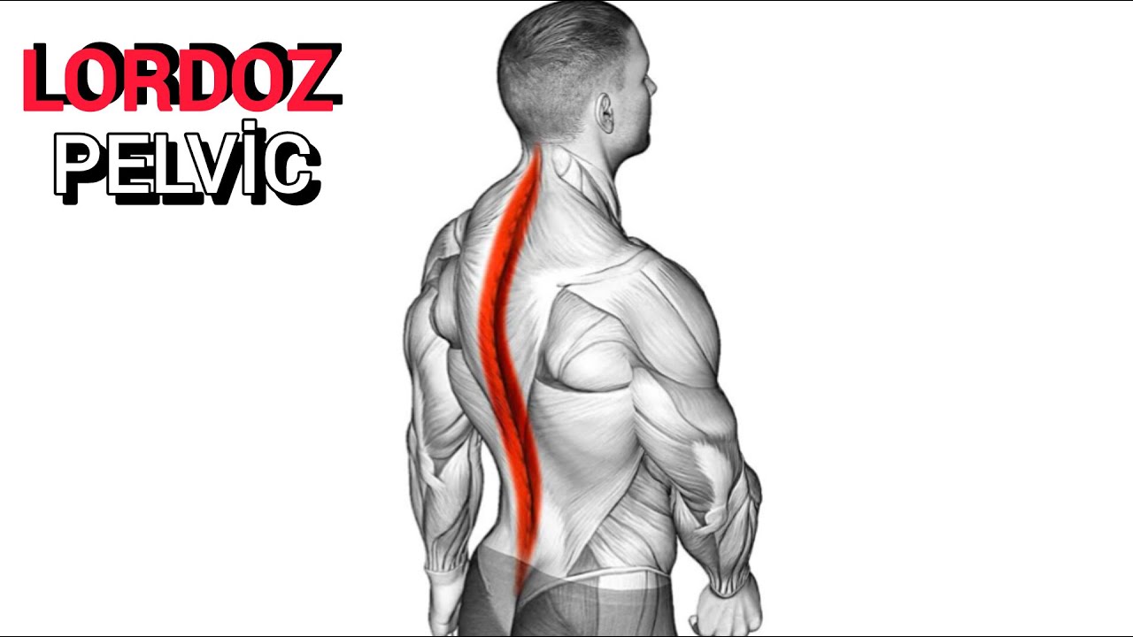 6 effective exercises to correct your waistline and improve your posture