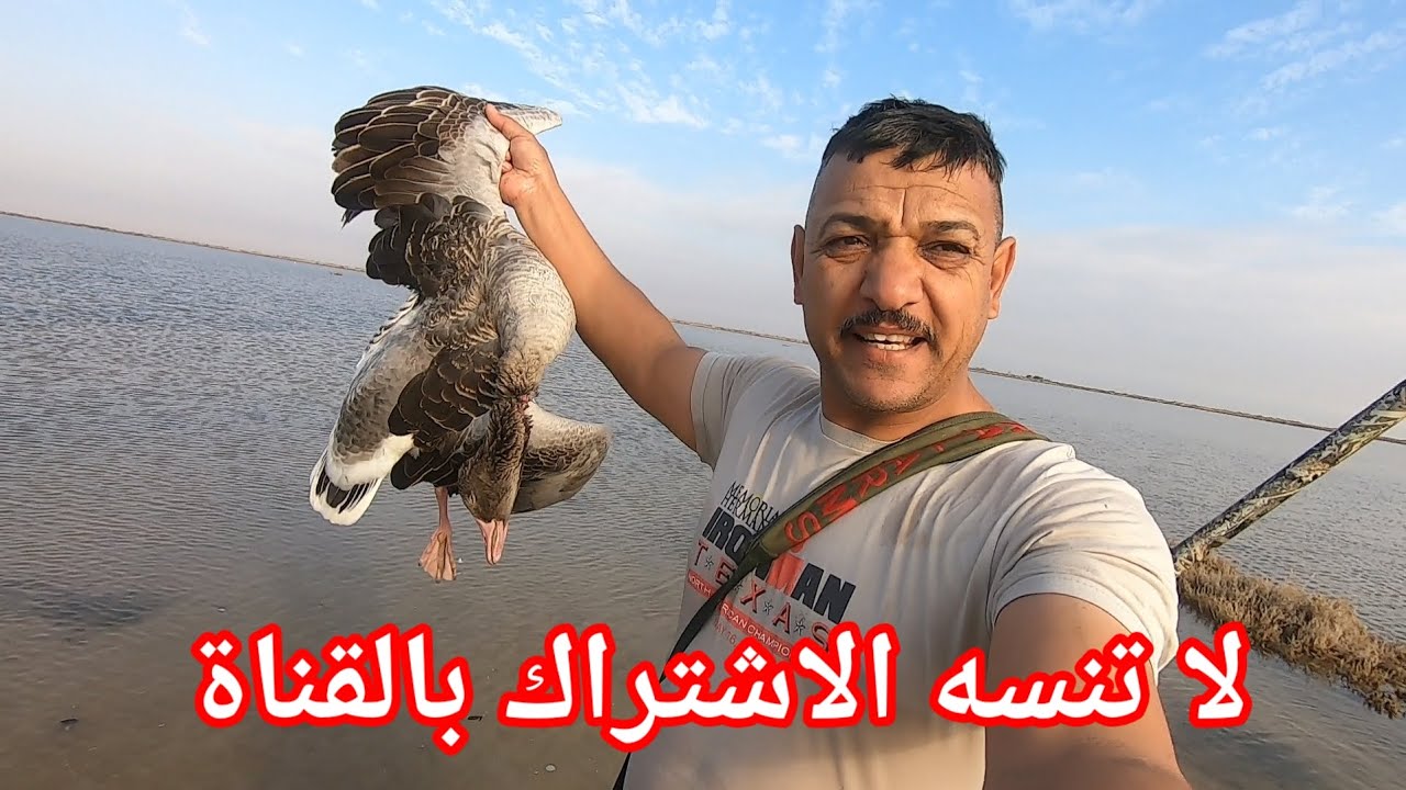 صيد الوز  شاهد وستمتع