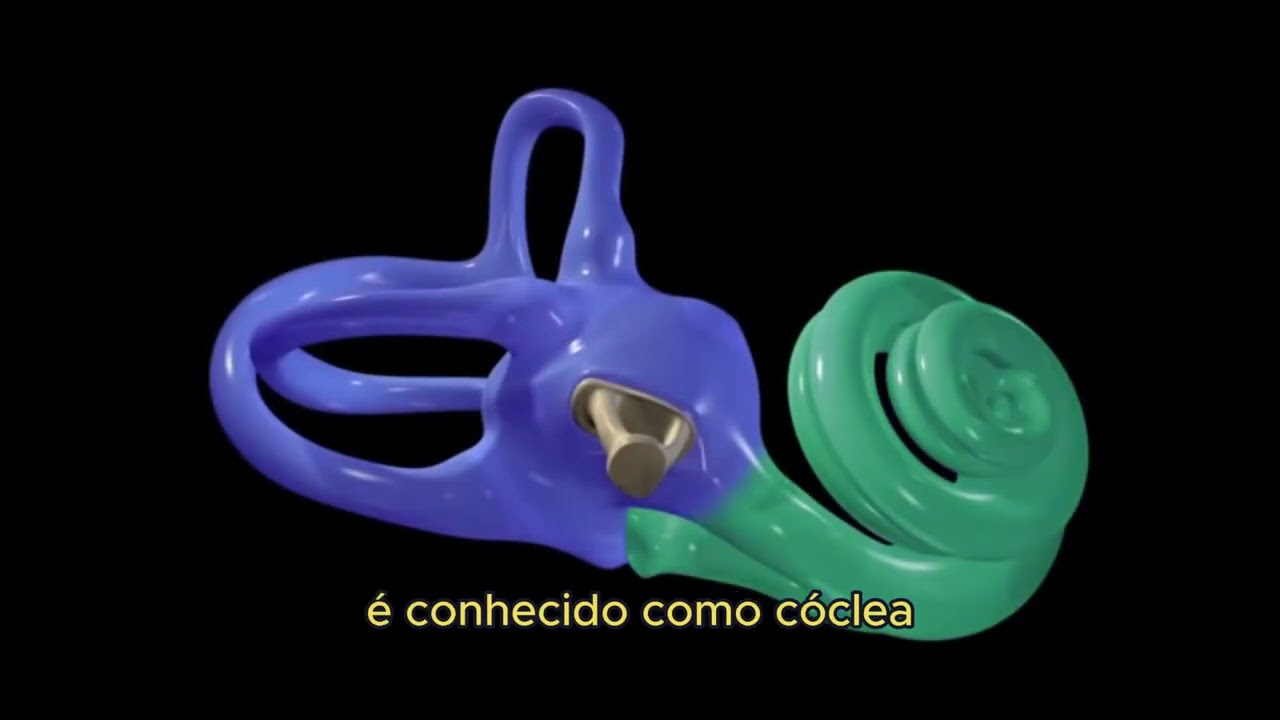 Aspectos cl&iacute;nicos da surdez