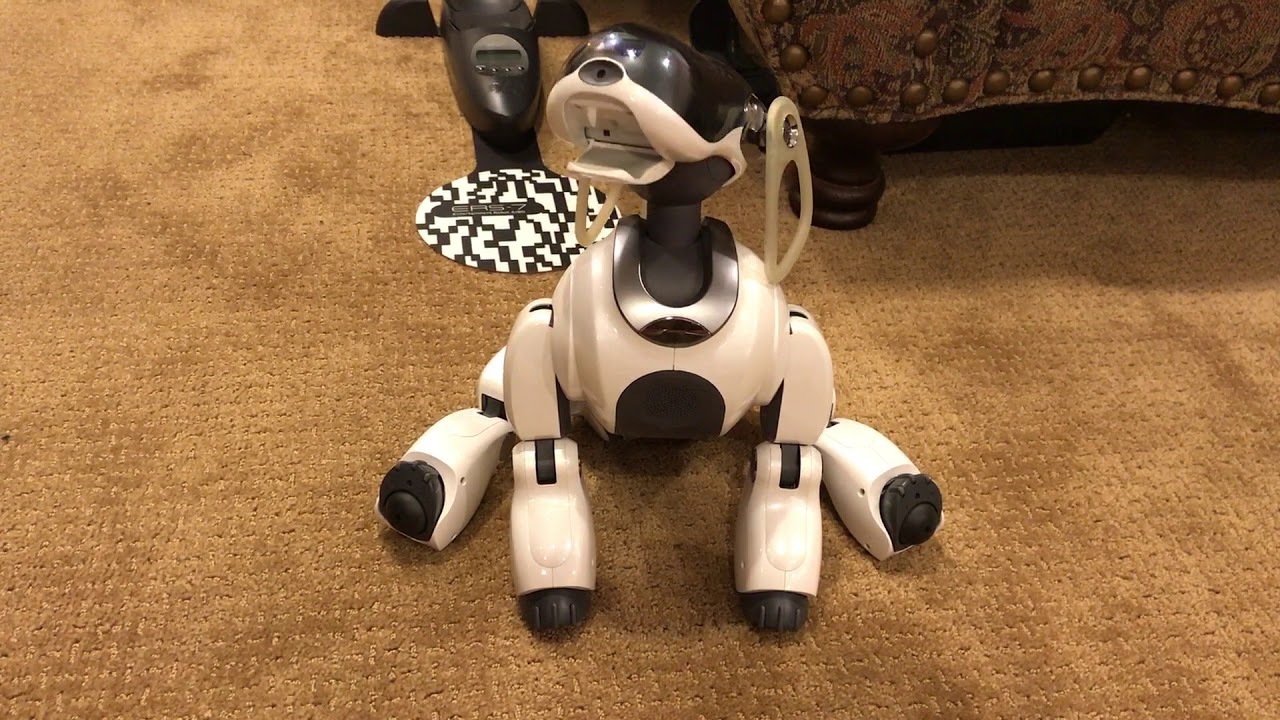 Aibo Custom Data -  'Special Sound by Matsuura 1' Boot Tune & Dances (ERS-7)