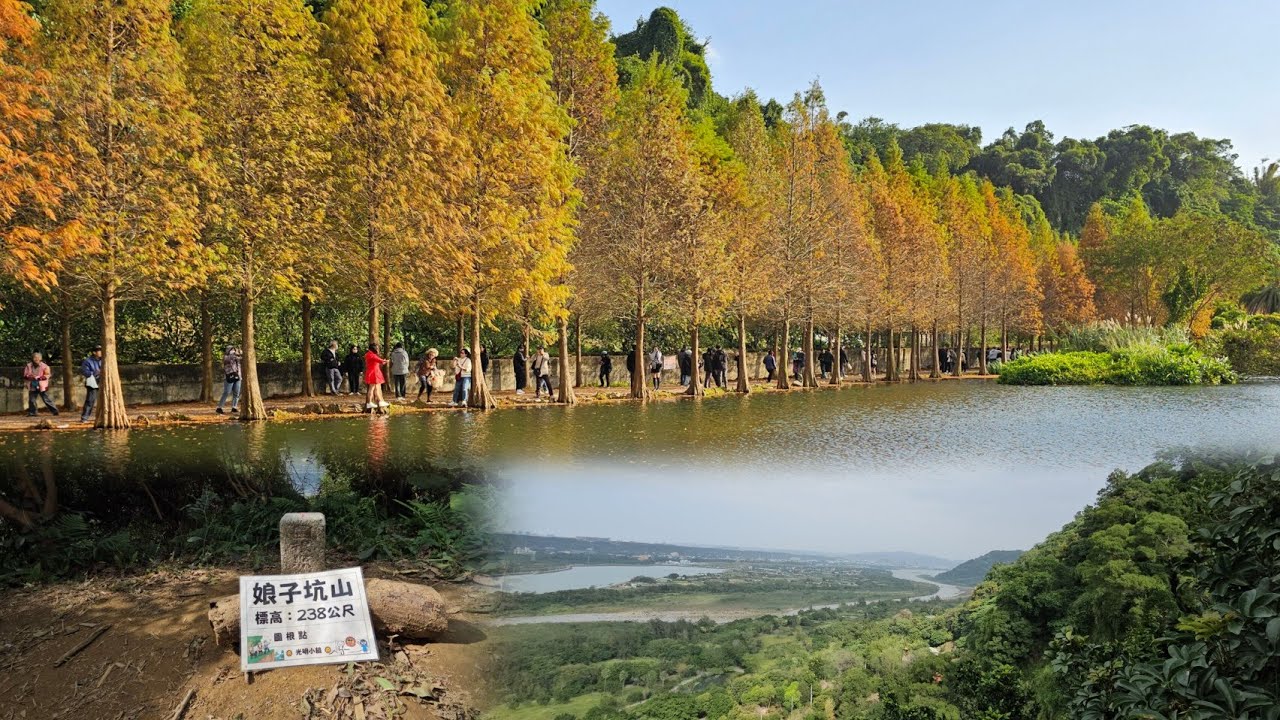 中庄吊橋、娘子坑山、山豬湖步道、月眉濕地落羽松公園。