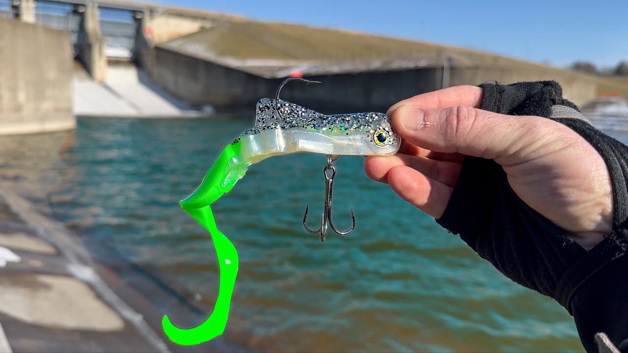 The Fish Of 10,000 Casts!!! (BUCKET List NEW Species!)